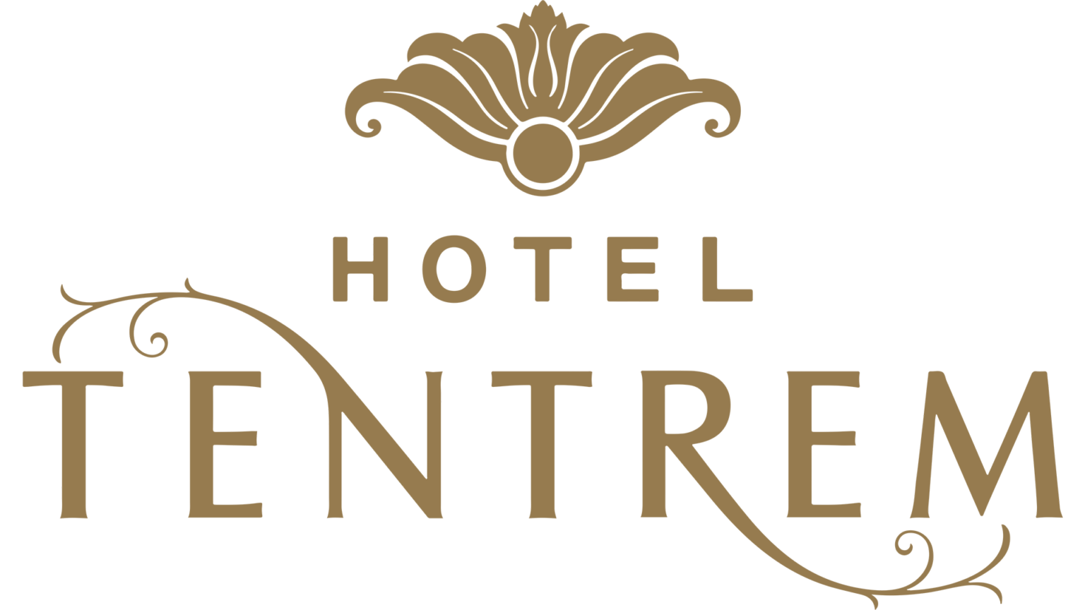 carousel logo 8
